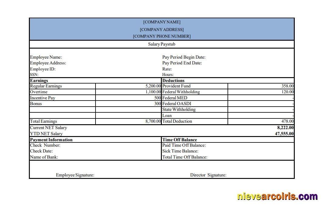 salary pay stub, version 2
